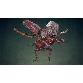 Rhinoceros Beetle Oryctes Nasicornis Flying 3D model